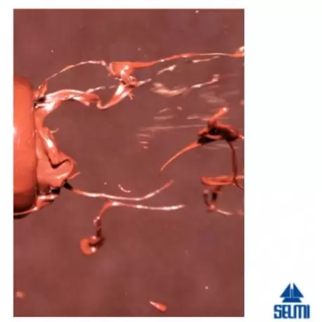 Selmi SPRAY COMFIT Maxi Selmi Spray System for Comfit Maxi Chocolate and Confectionery Coating Equipment Selmi SPRAY COMFIT Maxi Selmi Spray System for Comfit Maxi Chocolate and Confectionery Coating Equipment