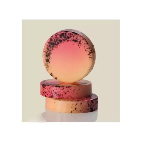 Martellato MA1989 Polycarbonate Chocolate Praline Mold - Round Palets - Ø35 h8mm - 24pcs - 8gr Modern Shaped Molds Martellato MA1989 Polycarbonate Chocolate Praline Mold - Round Palets - Ø35 h8mm - 24pcs - 8gr Modern Shaped Molds