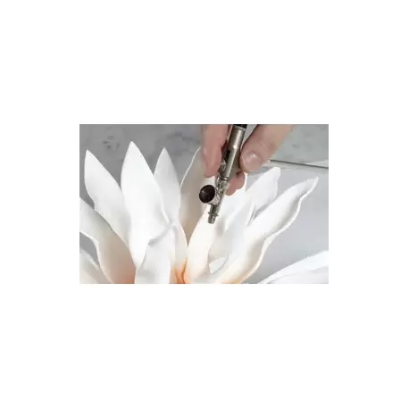 Pastry Chef's Boutique M02249 Stainless Steel Heavy Duty Leaf Cutter - 22.5 x 5 cm Nougattine Cutters Pastry Chef's Boutique M02249 Stainless Steel Heavy Duty Leaf Cutter - 22.5 x 5 cm Nougattine Cutters