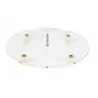 Pastry Chef's Boutique M12518 Plexiglass Clear Base with Central Pick and 4 feet - 10 mm thick - ø 40 cm Wedding Cake Sets