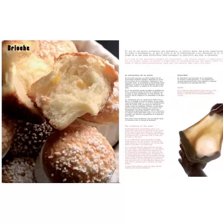 Daniel Álvarez Sweet Devotion by Daniel Alvarez ( English / Spanish ) Books on Bread and Viennoiseries
