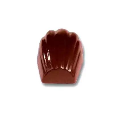 Cabrellon Car 457 Polycarbonate Madeleine Chocolate Mold - 38x27x15mm - 4x8 Cavity - 12 gr - 275x175mm Traditional Molds Cabrellon Car 457 Polycarbonate Madeleine Chocolate Mold - 38x27x15mm - 4x8 Cavity - 12 gr - 275x175mm Traditional Molds