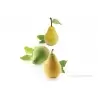 Silikomart Professional PERA & FICO 115 Pear Silicone Mold - 60 x 55 x 76 mm - 5 Cavity - 115 ml