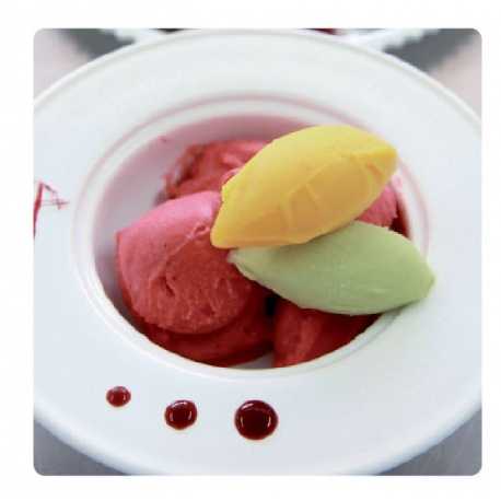 Artisanal ice cream recipe book - by grupoVilbo Artisanal ice cream recipe book - by grupoVilbo