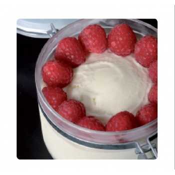 Artisanal ice cream recipe book - by grupoVilbo