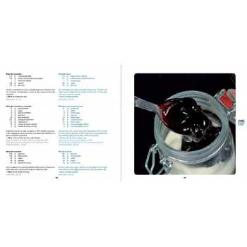 Artisanal ice cream recipe book - by grupoVilbo