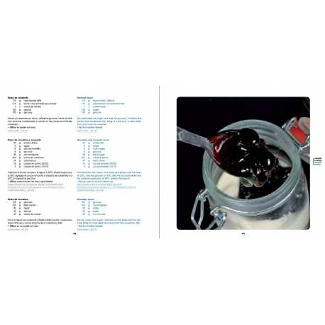 Artisanal ice cream recipe book - by grupoVilbo Artisanal ice cream recipe book - by grupoVilbo