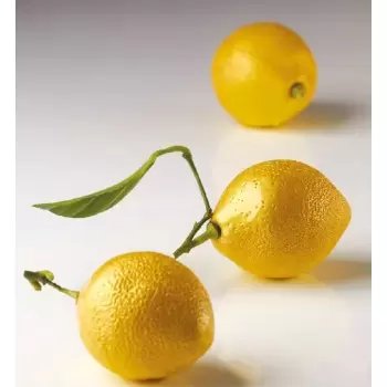 Pavoflex CEDRIC GROLET - LEMON Individual Entremet Silicone Mold - Ø 53 x 70 mm - 8 Cavity - 82 ml - 175 x 300 mm