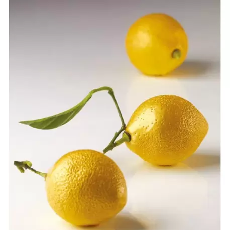 Pavoflex CEDRIC GROLET - LEMON Individual Entremet Silicone Mold - Ø 53 x 70 mm - 8 Cavity - 82 ml - 175 x 300 mm