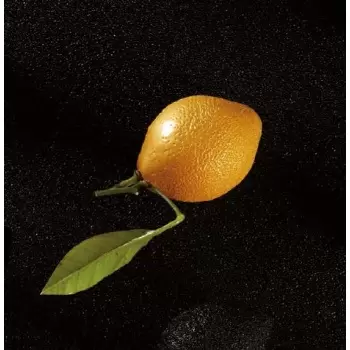 Pavoflex CEDRIC GROLET - LEMON Individual Entremet Silicone Mold - Ø 53 x 70 mm - 8 Cavity - 82 ml - 175 x 300 mm