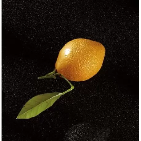 Pavoflex CEDRIC GROLET - LEMON Individual Entremet Silicone Mold - Ø 53 x 70 mm - 8 Cavity - 82 ml - 175 x 300 mm