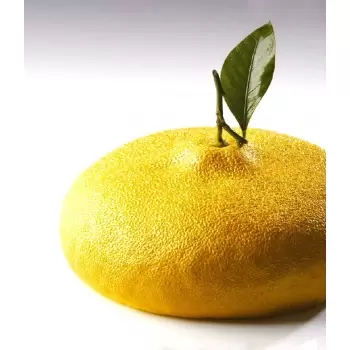 Pavoni CEDRIC GROLET Silicone Entremet Mold - LEMON - Ø 180 x 70 mm - Vol: 1215 ml