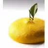 Pavoni CEDRIC GROLET Silicone Entremet Mold - LEMON - Ø 180 x 70 mm - Vol: 1215 ml