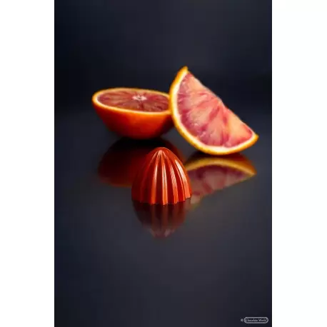 Chocolate World CW1926 Polycarbonate The Juicer by the Dutch Pastry Team Chocolate Mold - 30.5 x 30.5 x 24 mm - 12gr - 3x7 Ca... Chocolate World CW1926 Polycarbonate The Juicer by the Dutch Pastry Team Chocolate Mold - 30.5 x 30.5 x 24 mm - 12gr - 3x7 Ca...