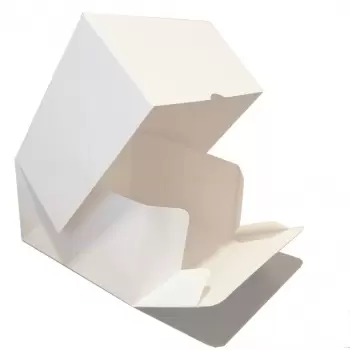 White Cardboard Pastry Cake Entremets Boxes - 23 x 23 x 10 cm - Pack of 50