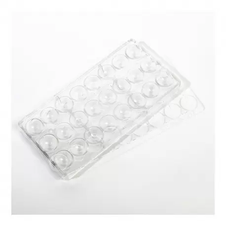 Chocolate World STENCW1217 STENCIL FOR CHOCOLATE MOULD CW1217 Sphere & Domes Molds Chocolate World STENCW1217 STENCIL FOR CHOCOLATE MOULD CW1217 Sphere & Domes Molds