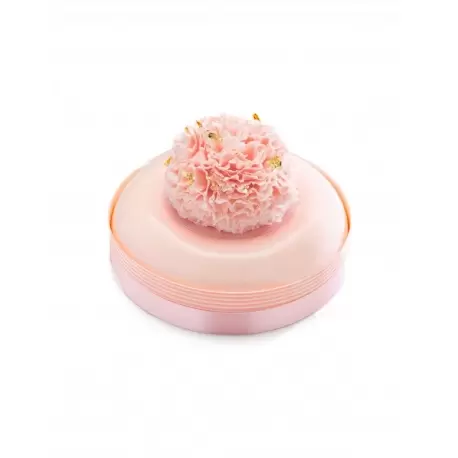 Sweet Concepts by Gregory Doyen - 2020 Sweet Concepts by Gregory Doyen - 2020