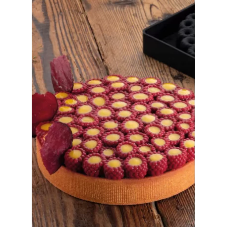 Pavoni Silicone Top Decoration Molds for Entremets - SCARLET - By Stefano Laghi & Sebastiano Caridi