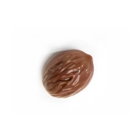 Polycarbonate Chocolate Praline Mold - NOCE WALNUT - 37x29x17.5mm - 11gr - 18 indents - Martellato