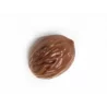Polycarbonate Chocolate Praline Mold - NOCE WALNUT - 37x29x17.5mm - 11gr - 18 indents - Martellato