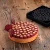 Pavoni Silicone Top Decoration Molds for Entremets - SCARLET - By Stefano Laghi & Sebastiano Caridi