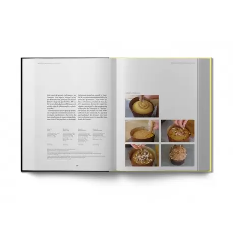 Sourdough Pannettone and Viennoiserie - English Edition