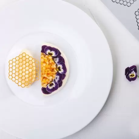 Pavoni HONEYCOMB Decoration Silicone Mold - 67.5x60.5x2mm - 2ml - 8 imprints