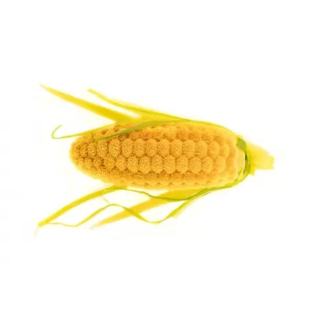 Silikomart Professional Naturae Pannocchia 20 Corn Ears mold - Signed by Terry Giacomello Silikomart Professional Naturae Pannocchia 20 Corn Ears mold - Signed by Terry Giacomello