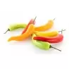 Silikomart Professional Naturae Peperoncino 13 Peppers Mold - Signed by Francesco Apreda