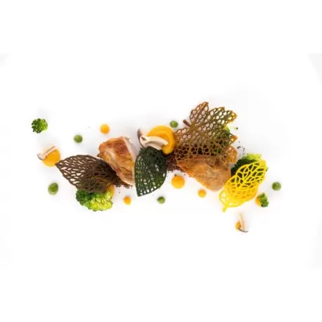 Silikomart Professional Naturae Bosco 21 Leaves Mold - Inspiration by Chef Andrea Valentinetti Silikomart Professional Naturae Bosco 21 Leaves Mold - Inspiration by Chef Andrea Valentinetti