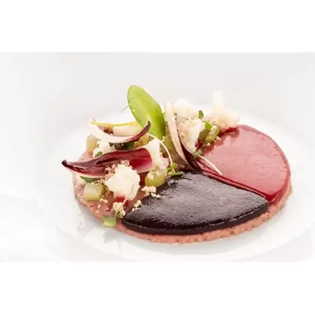 Silikomart Professional Naturae Cerchio 4.0 Discs Mold - Inspiration by Chef Andrea Valentinetti Silikomart Professional Naturae Cerchio 4.0 Discs Mold - Inspiration by Chef Andrea Valentinetti