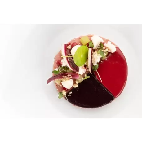 Silikomart Professional Naturae Cerchio 4.0 Discs Mold - Inspiration by Chef Andrea Valentinetti Silikomart Professional Naturae Cerchio 4.0 Discs Mold - Inspiration by Chef Andrea Valentinetti