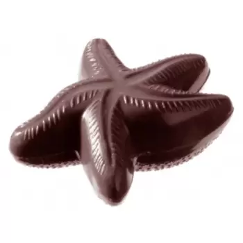 Polycarbonate Starfish Chocolate Mold - 150 x 150 x 30 mm - 250gr - 1x2 Cavity - Double Mold - 275x175x24mm