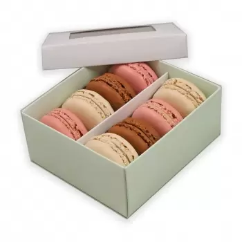 Deluxe Window Box for Macarons - 8 Macarons - White Top Green Base - Pack of 48 Boxes