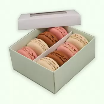 Deluxe Window Box for Macarons - 8 Macarons - White Top Green Base - Pack of 48 Boxes