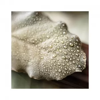 So Good Magazine 26, The Magazine of Haute Patisserie by Grupo Vilbo