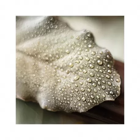 So Good Magazine 26, The Magazine of Haute Patisserie by Grupo Vilbo