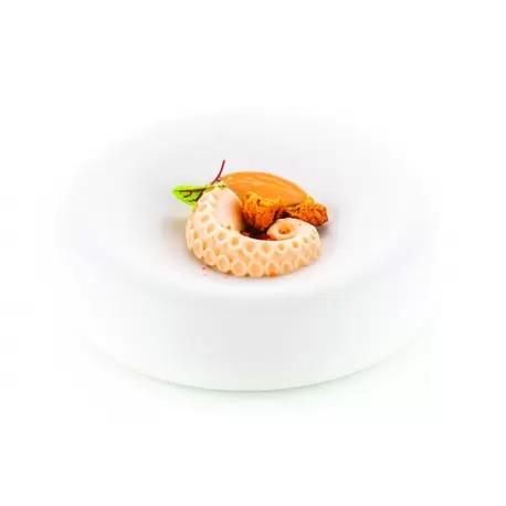 Silikomart POLPO 20 Octopus Mold - 300x175mm - 240ml Silikomart POLPO 20 Octopus Mold - 300x175mm - 240ml
