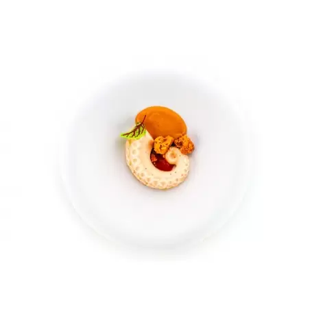 Silikomart POLPO 20 Octopus Mold - 300x175mm - 240ml Silikomart POLPO 20 Octopus Mold - 300x175mm - 240ml