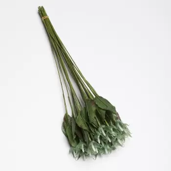 Rose Stalks - Artificial Stems for Chocolate Roses - 50 pcs
