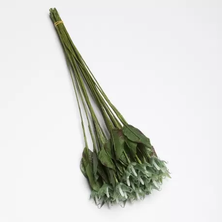 Rose Stalks - Artificial Stems for Chocolate Roses - 50 pcs