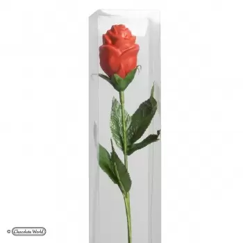 Rose Stalks - Artificial Stems for Chocolate Roses - 50 pcs