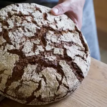 Sourdough Baking: A Treatise by Thomas Teffri-Chambelland - English Edition - Hardcover