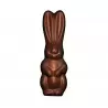 Cabrellon 6691 Chocolate Rabbit Polycarbonate Mold - 131 x 41 mm - 6 x 1 cavity - 275 x 175 mm Easter Molds