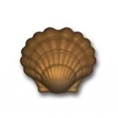 Cabrellon 1166 Polycarbonate Sea Shell Chocolate Mold - 120x139mm - 2x1 cavity Themed Molds