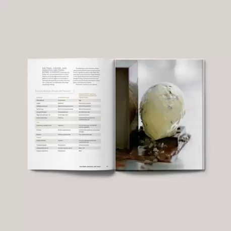 Frozen Desserts by Francisco Migoya (English)