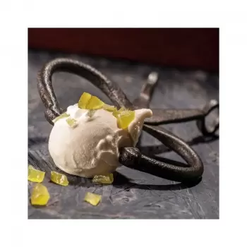 Avanguardia Gelato by Paolo Brunelli, Gianfrancesco Cutelli, Alberto Marchetti, and Andrea Soban (Italian)