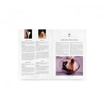 The Italian Gelato Project - Progetto Gelato by Andrea Soban (Italian Language)