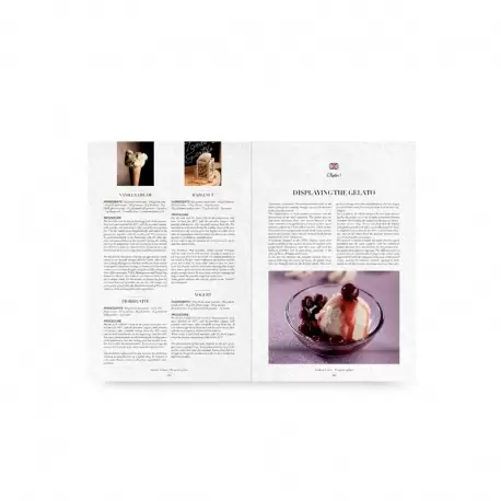 The Italian Gelato Project - Progetto Gelato by Andrea Soban (Italian Language)
