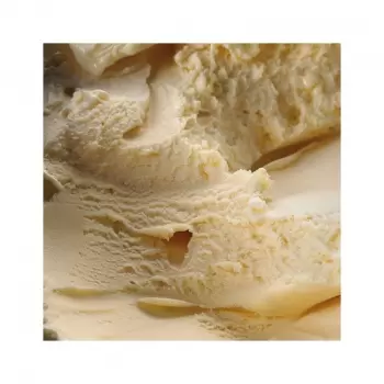 30 Indispensable Ice Creams / 30 Helados Imprescindibles (REPRINT) by Jaume Turró (Bilingual English & Spanish)